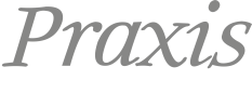 Logo grau weiss